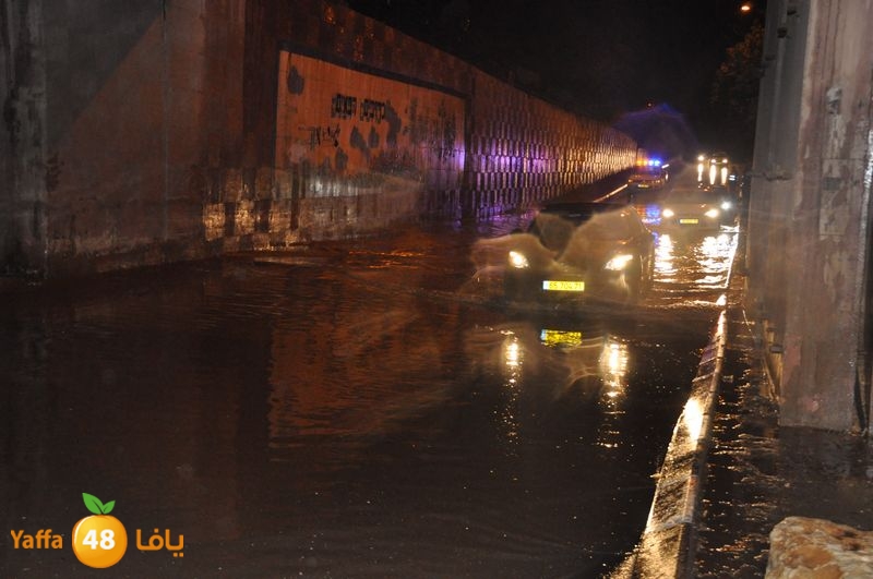 rain lud 1212 (3).JPG